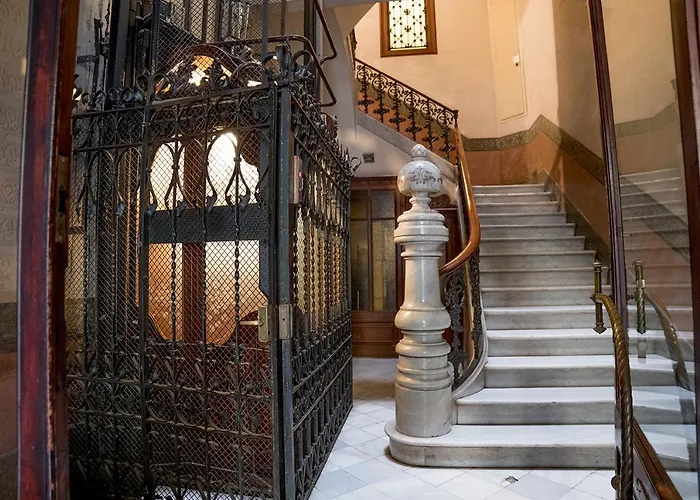 Cami Gallery Barcellona